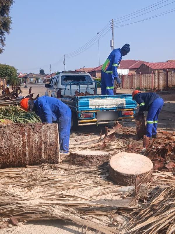 Three crew members in overalls loading cut wood and palm fronds onto a bakkie in the street