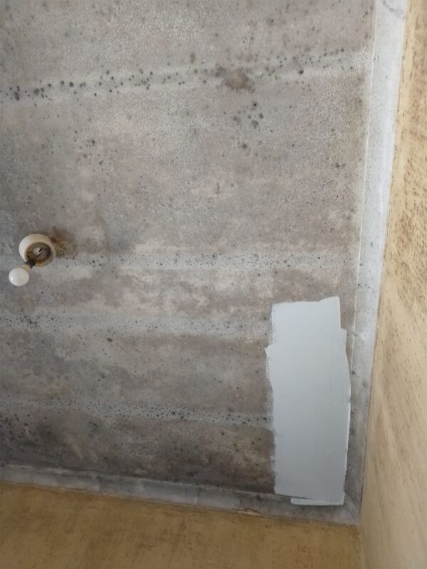 Interior wall with damp stains, mould spots and a white test patch